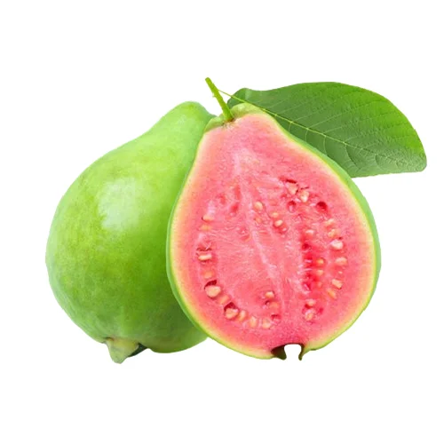 Peru/Guava (Taiwan Pink) - Fruits - PGS - Nashik